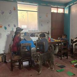 Hunde und Hühner manchmal im "Klassenzimmer"