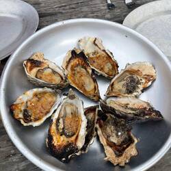 Grilled oyster. Bourbon butter one tastes sweet