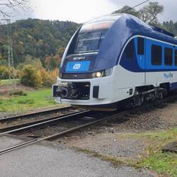 Der hat Vorfahrt