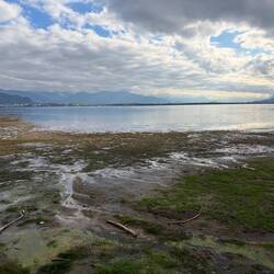 Der Bodensee mit Niedrigwasser