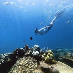 Working on my freediving skills 🤣