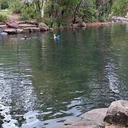 A visit to Byfield NP today - and a swim