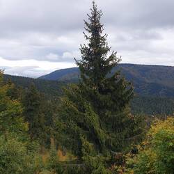 Hier lässt es sich wandern