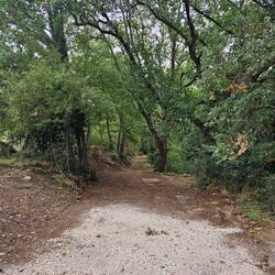 Entering the best part of today's walk