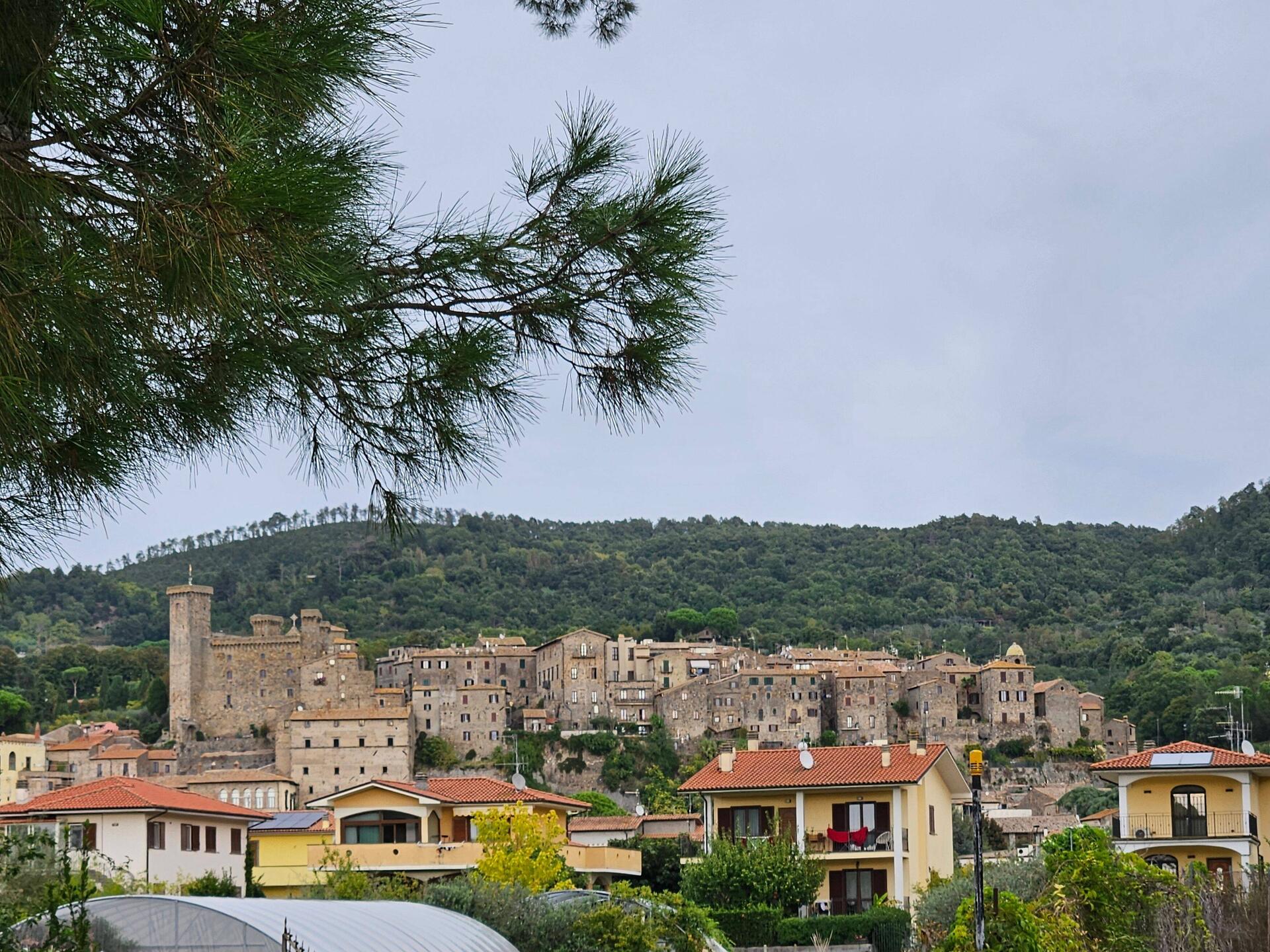 View of Bolsena from the lakeshore