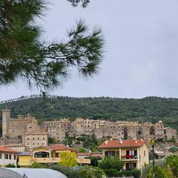 View of Bolsena from the lakeshore