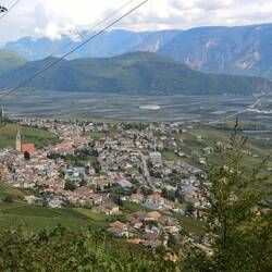 Tramin