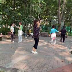 Lots of active women dancing all over the park