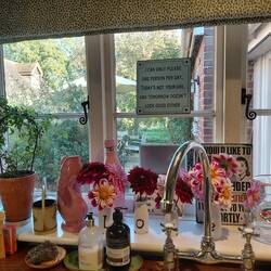 A picture perfect kitchen window with fresh dahlias on the window sill
