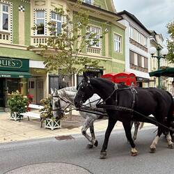Sogar Fiaker verkehren noch durch Bad Ischl