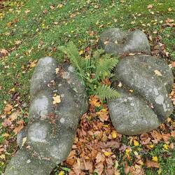Ein paar Steine...?