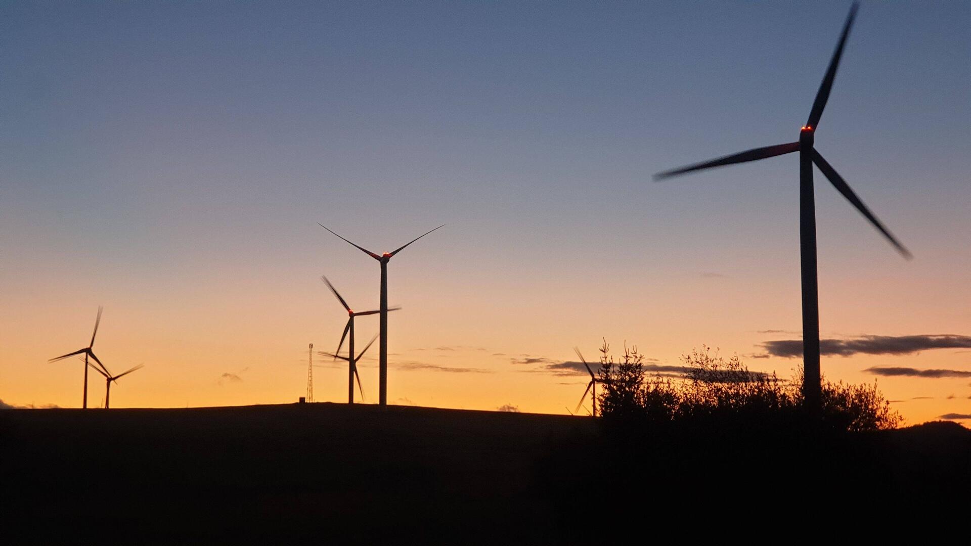 Windpark mit Sonnenuntergang