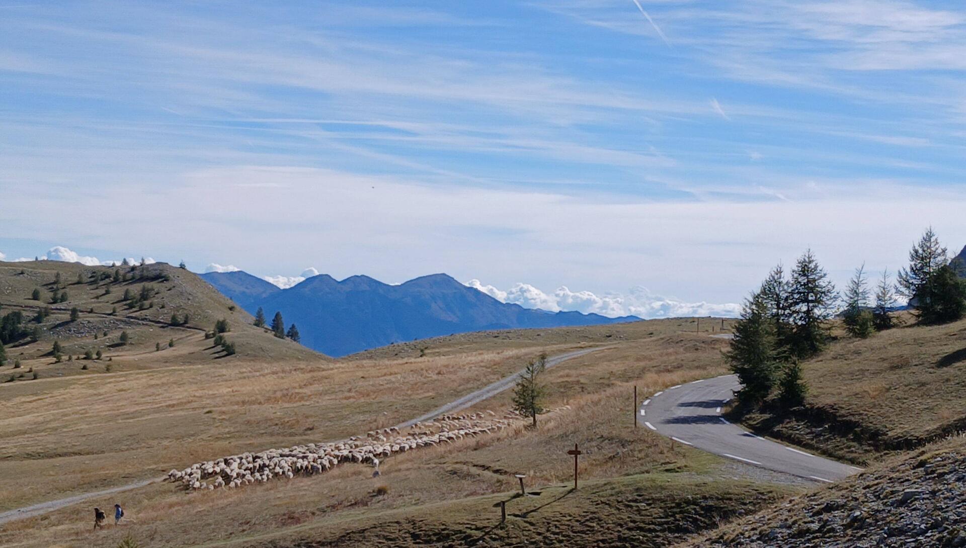 Passet Col des Champs
