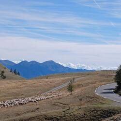 Passet Col des Champs
