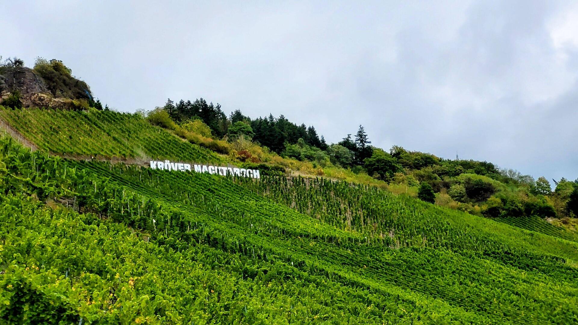 Kröver Nacktarsch nach einem Wein seit 1922