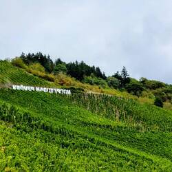 Kröver Nacktarsch nach einem Wein seit 1922
