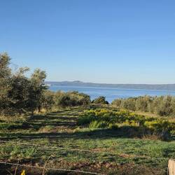 Lake Bolsena
