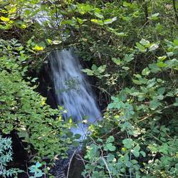 Unknown water source