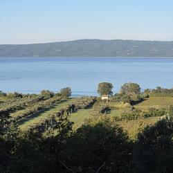Lake Bolsena