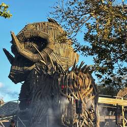 Wickerman- beast of a roller coaster!