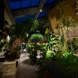 Ava - Barkam, Homestay surprenant