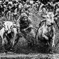Wunderschöne Bilder der Fotoausstellung von Jurica Galic Juka