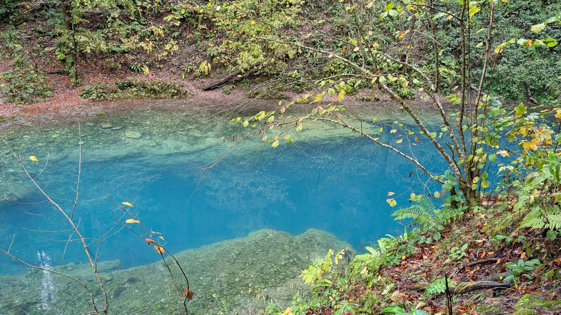 Die Kamacnik-Quelle: Kommt direkt aus dem Boden, sieht aus, wie ein kleiner See.