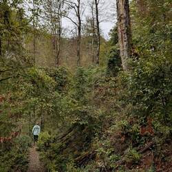 Auf dem Weg zum Kupa Ursprung