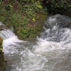 Und immer wieder kommen plötzlich kleinere oder grüßere Bäche aus dem Karst