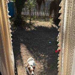 Nun erstmal in Asilah aufm CP und ankommen
