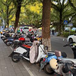 Scooters are king here ... soooo many