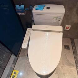 Bidet with a tushy warmer