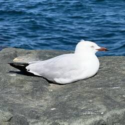 Impressionen aus Fremantle