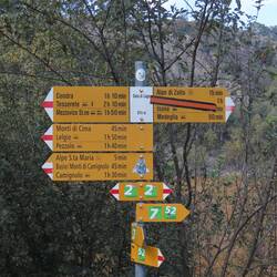 2. Höhepunkt des Tages