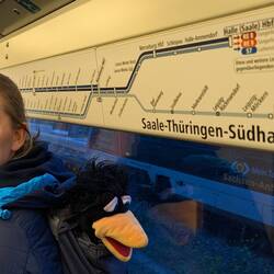 Das Saale-Thüringen-Südharz-Netz