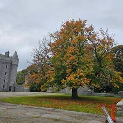 Dinnet Gatehouse