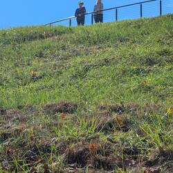 Bea and Linda looking at Burnside's Bridge