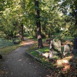 Dom-Friedhof
