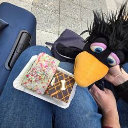 Papageien - und Wau-Wau-Kuchen