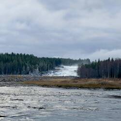 Storforsen von unten ganz zahm
