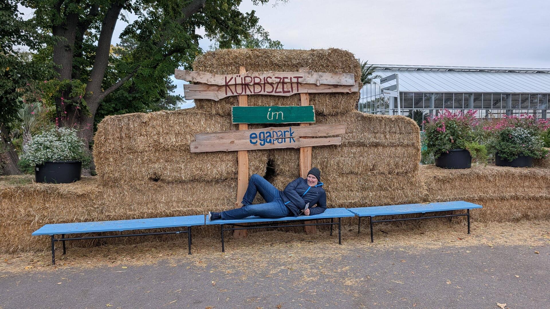 Kürbiszeit