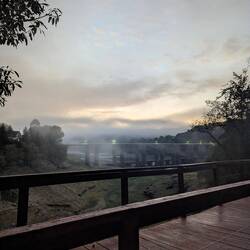 Foggy morning