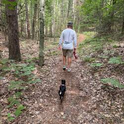 Old Indian Trail near Honor, MI