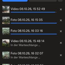 Zum Glück habe ich heute endlich wieder einmal meine vielen Fotos und Videos hochgeladen.