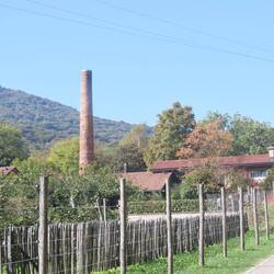 La fabrication di Saurolo