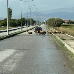 Reisewetter: Sonne von hinten, trockene Fahrbahn, kein Wind und gute Laune
