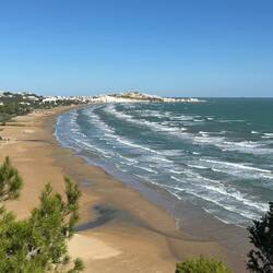 Blick auf Vieste mit Strand