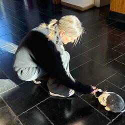 Rencontre matinale inattendue 🐇