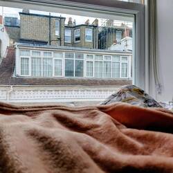 View through the window from our bedroom