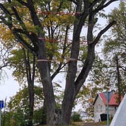 Slackline mit verschiedenen Schwierigkeitsstufen